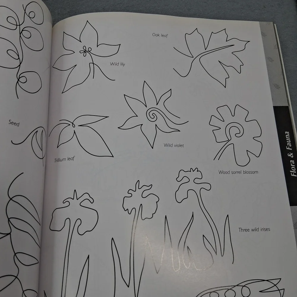 250 Continuous-Line Quilting Designs for Hand, Machine and Long-Arm Quilters